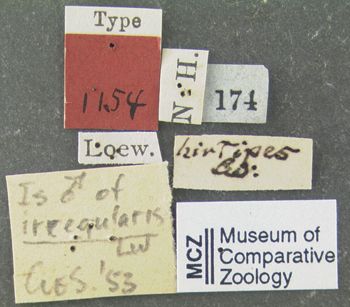 Media type: image;   Entomology 1154 Aspect: labels